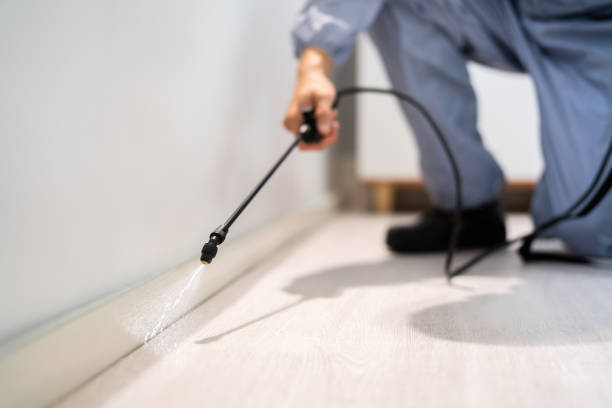 Licensed Termite Control service in Mannford, OK - Nex Pest Control