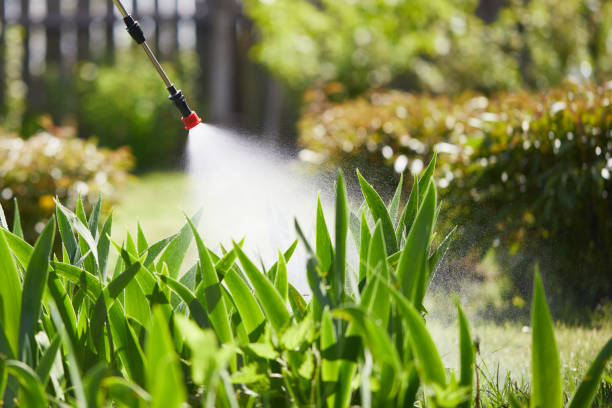 24/7 Emergency Termite Control experts in Mannford, OK