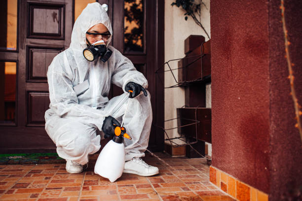 Reliable Termite Control contractor in Mannford, OK by Nex Pest Control